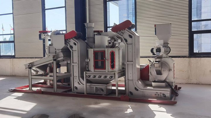 dry type carp feed machine in the Philippines
